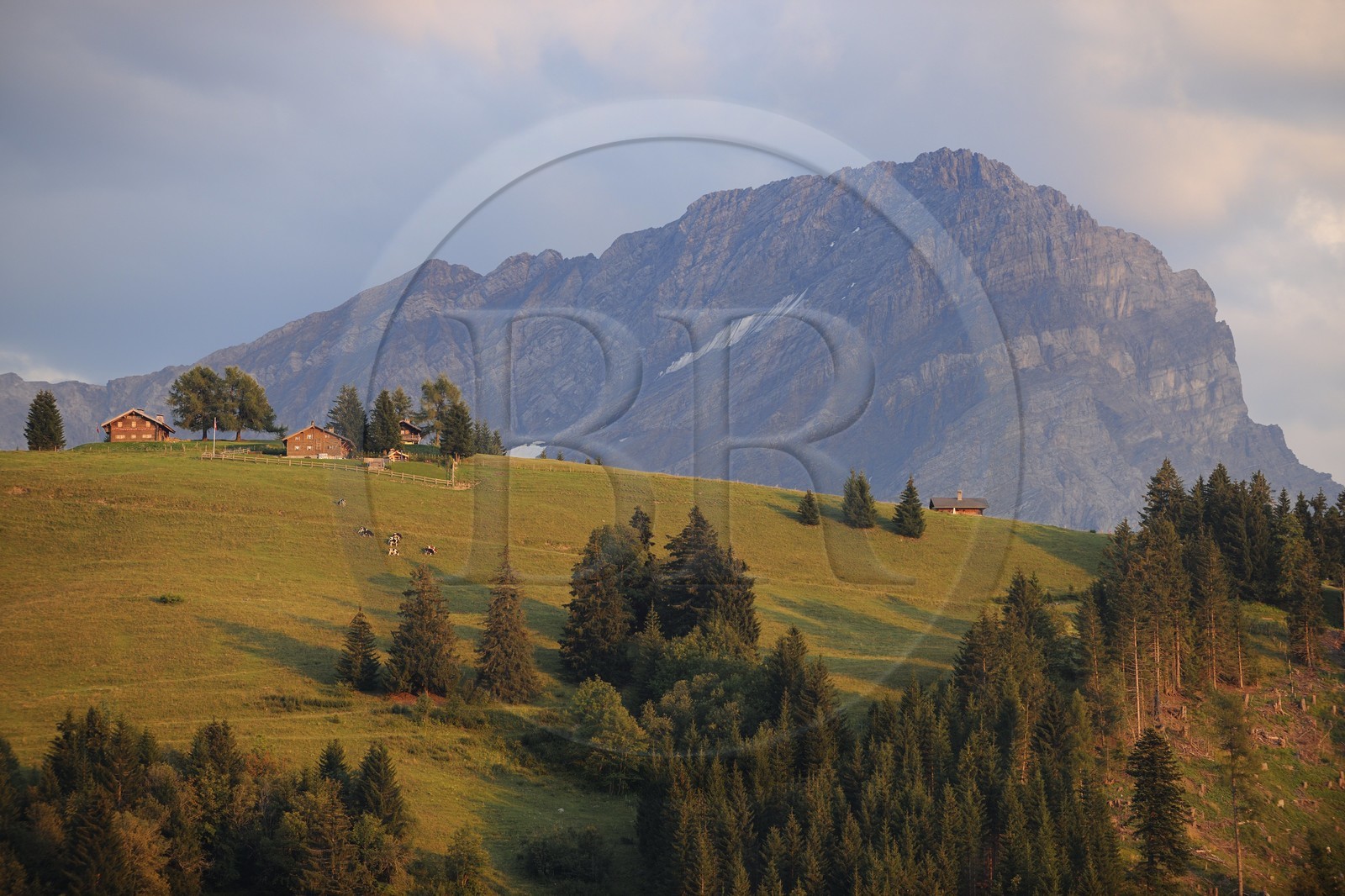 Suisse, canton de Vaud, Villars-sur-Ollon au Col de la Croix et le Grand Muveran