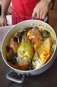 France, Var (83), le Rayol-Canadel-sur-Mer, Restaurant Maurin des Maures, les poissons de la bouillabaisse