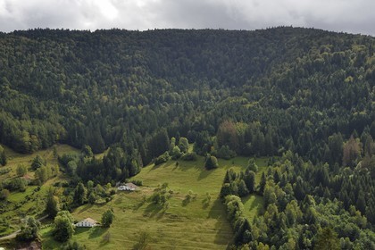 France, Vosges (88), Saint-Maurice-sur-Moselle, la vallée des Charbonniers menant à Gazon Rouge et au sommet de La Tête des Perches