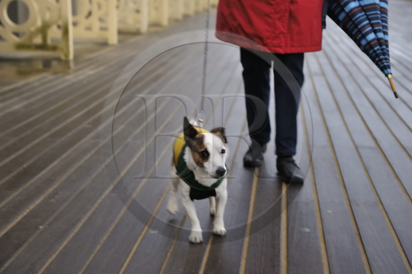 France, Calvados (14), Pays d'Auge, Deauville, les célèbres Planches sur la plage