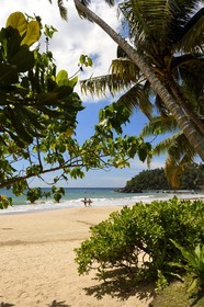 Sri Lanka, Southern Province, Weligama, Mirissa Beach,