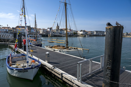 France, Vendee, Les Sables d'Olonne, traditional boats moored at the entrance to the commercial port, the La Chaume district in the background