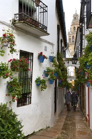 Spain, Andalusia, Cordoba, historical center listed as World Heritage by UNESCO, Juderia district, the calleja de las flores and the minaret of the Mezquita (Mosque-cathedral) in the background