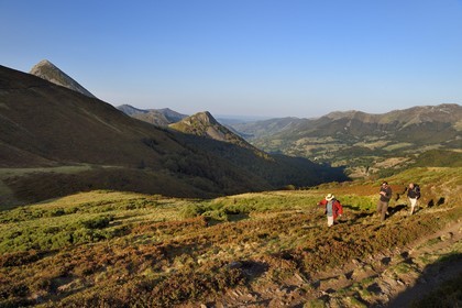 France, Cantal (15), Parc Naturel Régional des Volcans d'Auvergne, Le Lioran, col de Rombière surplombant la vallée de la Jordanne, randonneurs sur le chemin de Saint-Jacques de Compostelle par la Via Arverna, en arrière plan le Puy Griou émergeant à gauche et le Griounou à sa droite