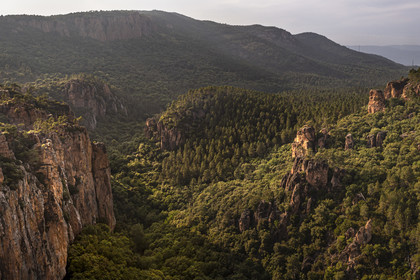 France, Var, between Bagnols en Foret and Roquebrune sur Argens, the Gorges du Blavet (aerial view)