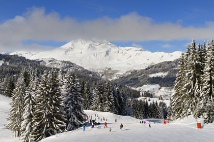 France, Haute Savoie, Morzine, the valley of Aulps, massif of Chablais, ski slopes of the Portes du Soleil, view of Roc d'Enfer (2243m) from Pléney (1554m)