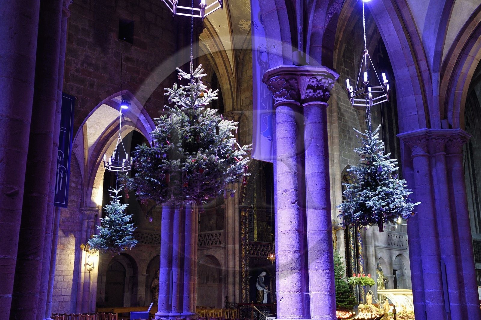 France, Bas Rhin, Strasbourg, Selestat, the fir trees suspended under the arches of the nave of the Saint-Georges church are traditionally decorated with apples, bredele, balls taking into account an evolution over time