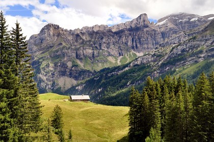 Switzerland, Canton of Vaud, Ormont-Dessus, Les Diablerets, farm to the Lake Retaud above the Col du Pillon and the Schluchhorn mountain in the background