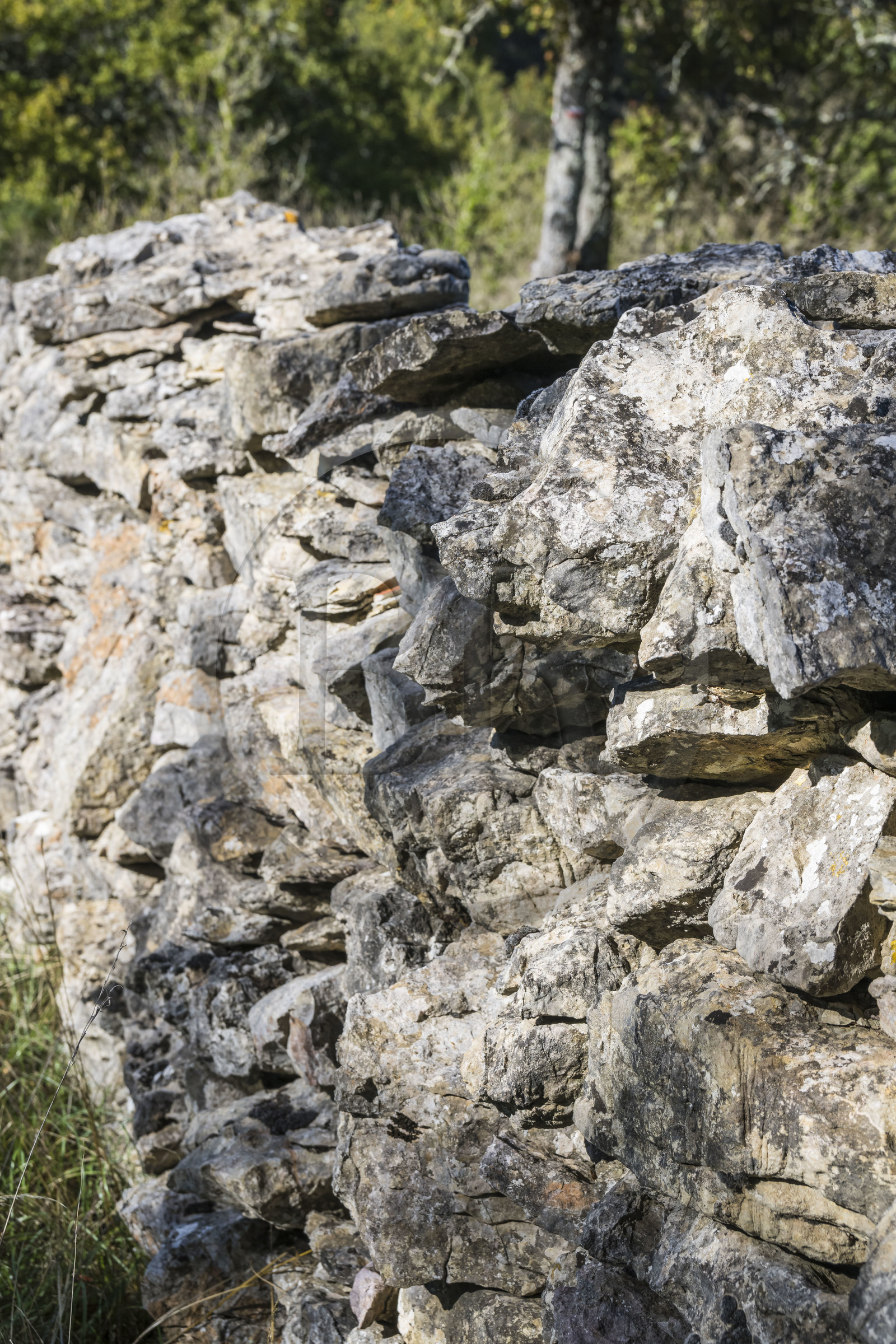 France, Hérault (34), les Causses et les Cévennes, paysage culturel de l'agro-pastoralisme méditerranéen inscrit au Patrimoine Mondial de l'UNESCO, Saint-Maurice-Navacelles, murs de pierres sèches typique des Causses