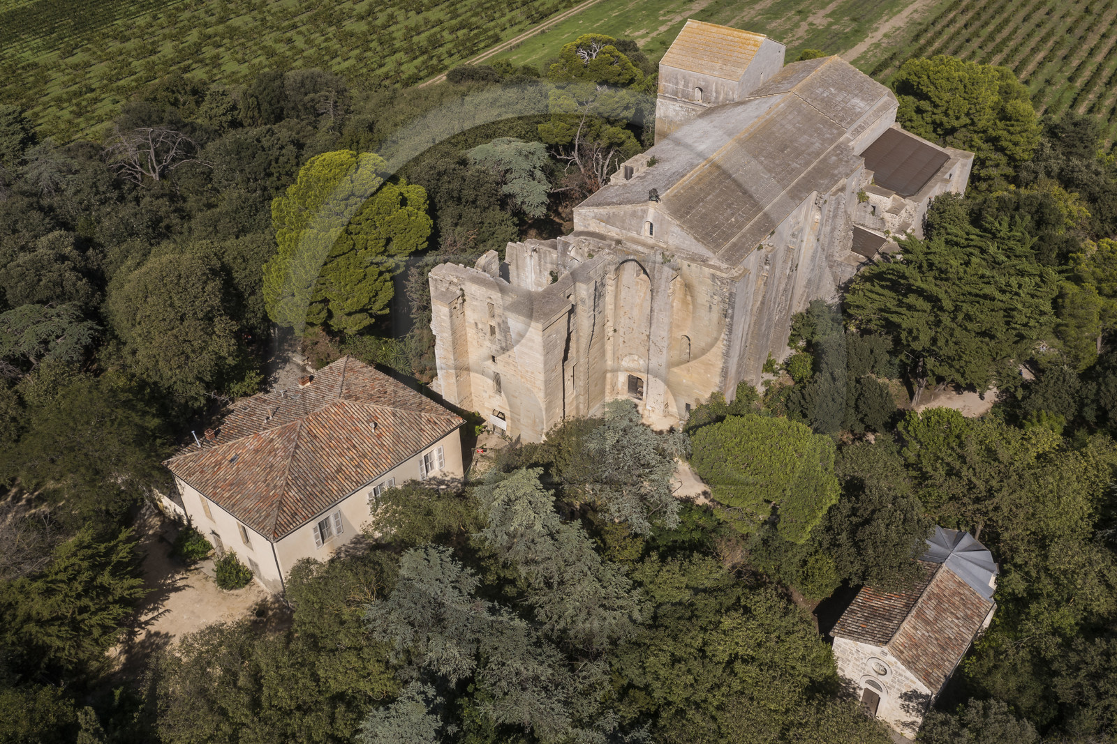 France, Hérault (34), Villeneuve-lès-Maguelone (Palavas-Les-Flots), cathédrale Saint-Pierre-et-Saint-Paul de Maguelone des XIIème et XIIIème siècles entourée de vignes sur son île (vue aérienne)