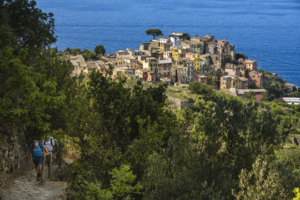 Italy, Liguria, Cinque Terre National Park listed as World Heritage by UNESCO, hikers climbing on the GR 586 path between Corniglia and Volastra above Manarola, the village of Corniglia in the background
