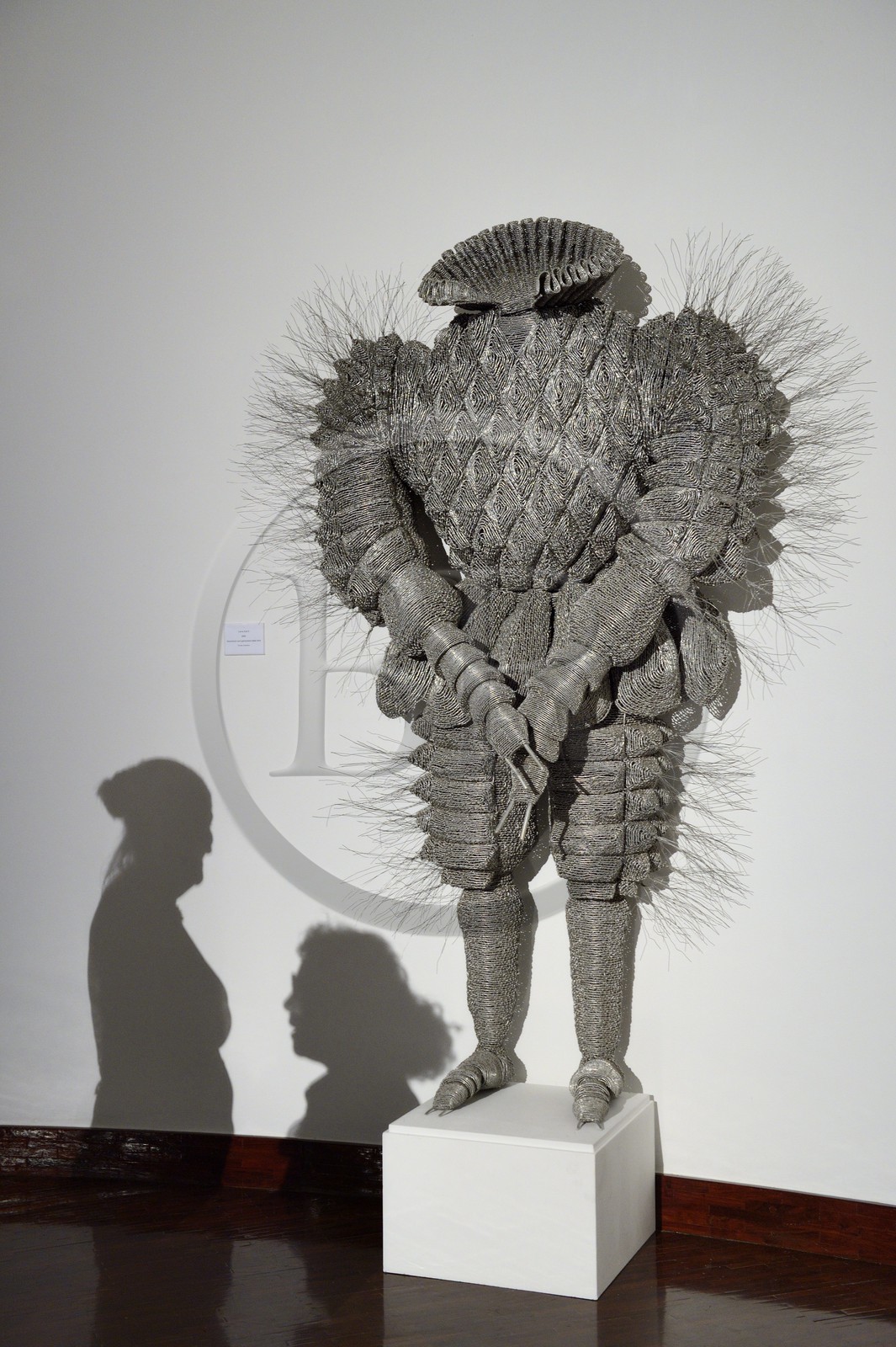 Afrique du Sud, province de Gauteng, Johannesburg, la Standard Bank Gallery, Dans le Tissage (In the Weave), une exposition d'œuvres de Walter Oltmann, l'un des artistes les plus connus d'Afrique du Sud, Larva Suit II (aluminium et fil d'acier zingué galvanisé) 2004