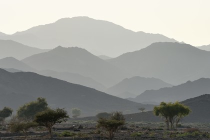 Sultanat d'Oman, gouvernorat de Ash Sharqiyah Nord, montagnes à l'Ouest d'Ibra