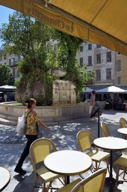 France, Var (83), Toulon, place Puget, Brasserie Le Chantilly et fontaine de la Halle aux Grains