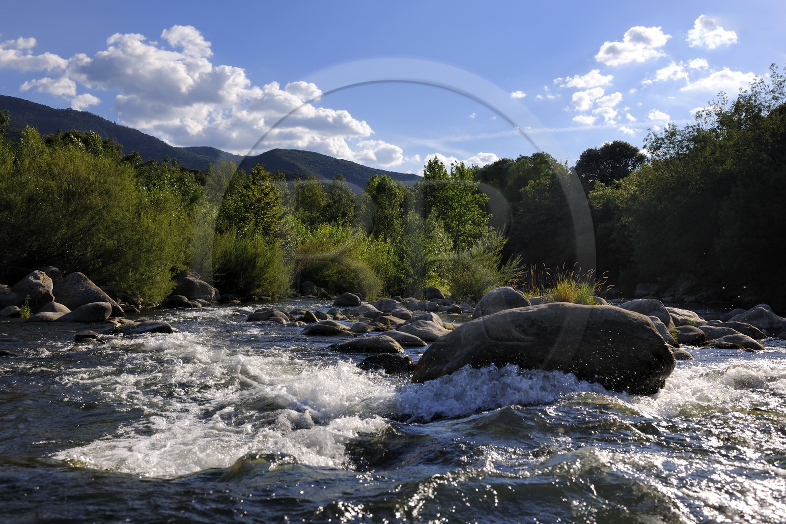 France, Hérault (34), vallée de l' Orb à Tarrassac à coté de Mons la Trivalle, la rivière Orb France, Hérault (34), vallée de l' Orb à Tarrassac à coté de Mons la Trivalle, la rivière Orb