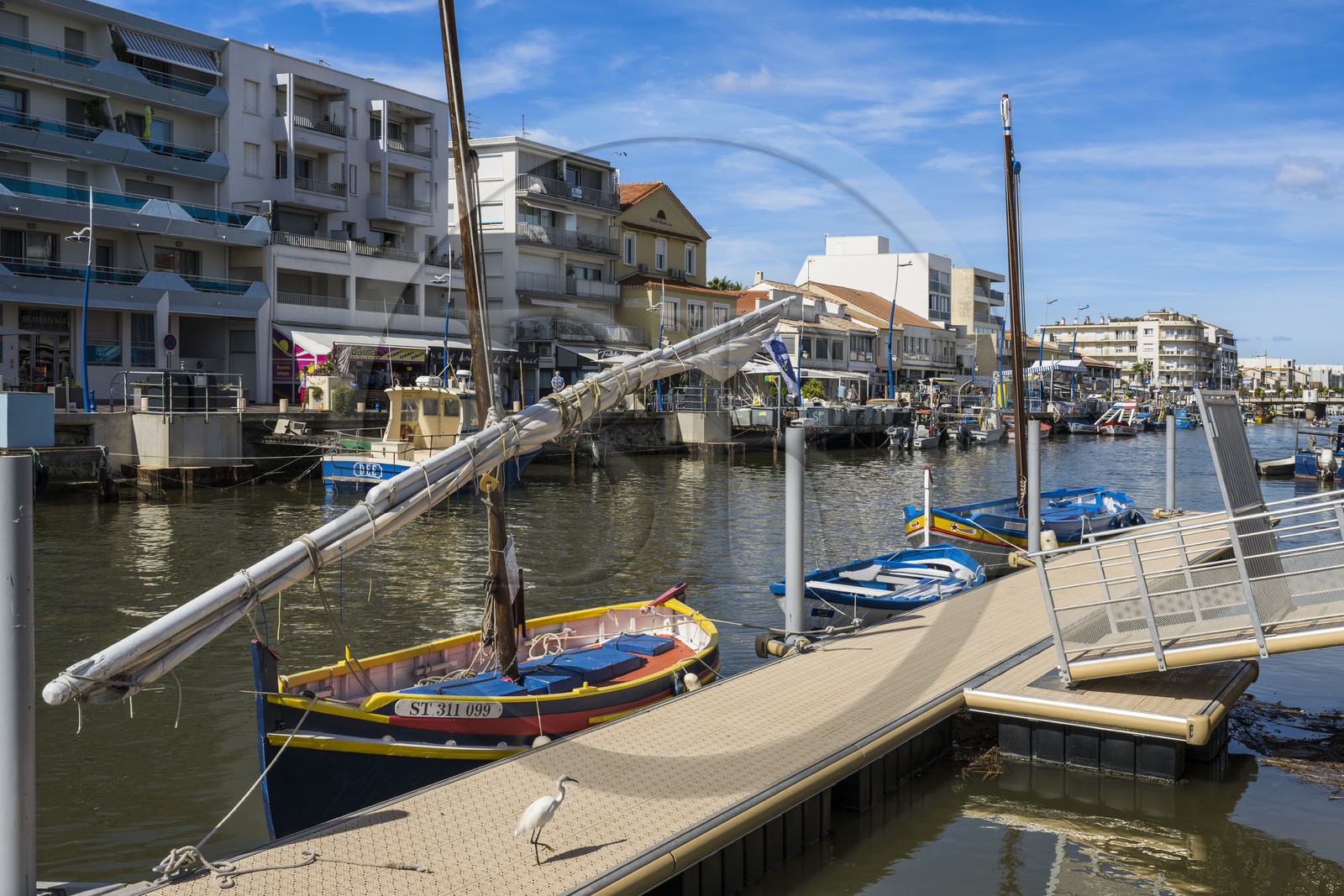 France, Hérault (34), Palavas-Les-Flots, aigrette garzette (Egretta garzetta) et bateau de pêche traditionnels sur le port