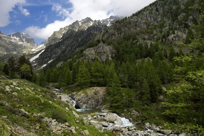 France, Alpes-Maritimes, parc national du Mercantour ( Mercantour national park), Haute-Vesubie, Gordolasque valley