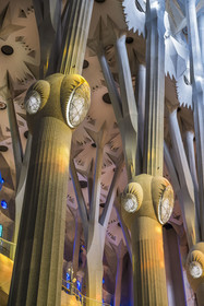 Espagne, Catalogne, Barcelone, quartier de l'Eixample, basilique de la Sagrada Familia de l'architecte du modernisme catalan Antoni Gaudi classée Patrimoine Mondial de l'UNESCO, au dessus du noeud, les colonnes du vaisseau central (nef) se subdivisent en branches tel un arbre, éclairées par les projections chaudes des vitraux du coté de la facade de la Passion