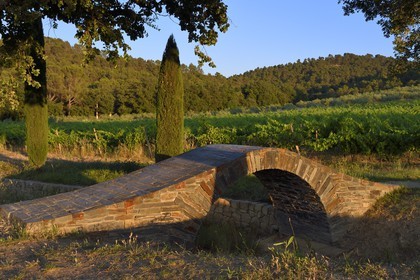 France, Bouches-du-Rhône (13),  Le Puy Sainte Réparade, Chateau La Coste domaine viticole et centre d'art contemporain, Donegal par le designer Larry Neufeld (Mention Obligatoire)