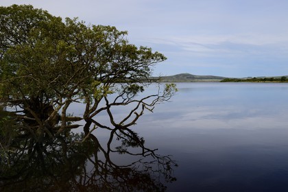 France, Finistere, Parc Naturel Regional d'Armorique (Armorica Regional Natural Park), Monts d'Arree, Brasparts, the Saint-Michel reservoir and  the Saint Michel chapel at the top of Menez Mikael in the background