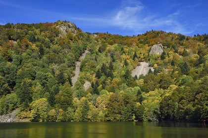 France, Haut-Rhin (68), Parc naturel régional des ballons des Vosges, Rimbach-près-Masevaux, le Lac des Perches en dessous de Gazon Rouge dans les Vosges