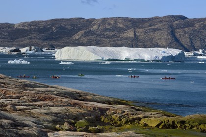 Groenland, cote ouest, baie de Disko, baie de Quervain, kayaks progressant au milieu des icebergs