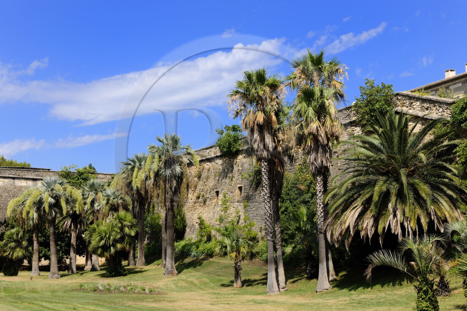 France, Hérault (34), Montpellier, les fossés de la Citadelle ont été aménagés en jardins plantés de palmiers