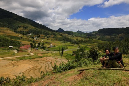 Vietnam, Lao Cai province, Sapa district, Ta Phin valley,  rice plantations in terraces by the Black Hmong minority group