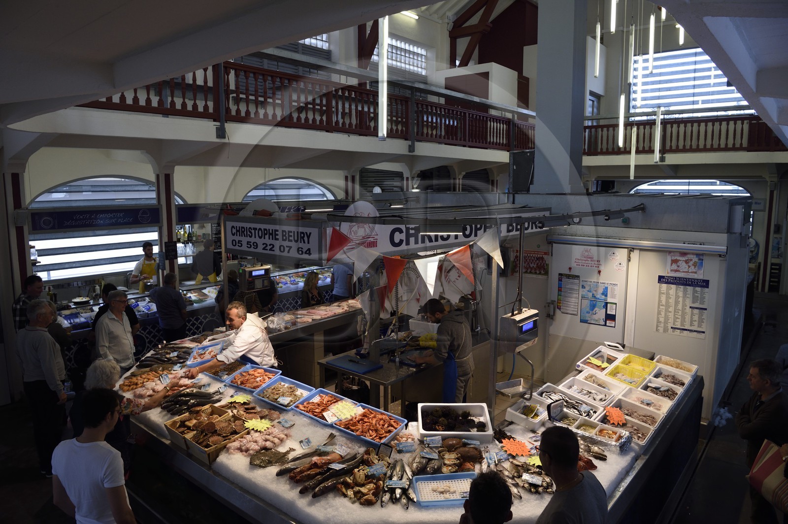 France, Pyrénées-Atlantiques (64), Pays-Basque, Biarritz, le marché couvert des Halles, la halle des poissonniers