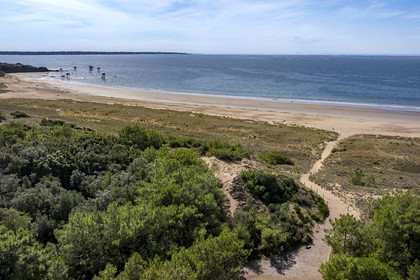 France, Loire-Atlantique (44), Saint-Brévin-Les-Pins, forêt de la Pierre Attelée (vue aérienne)