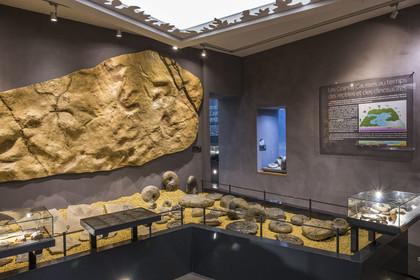 France, Aveyron (12), Millau, musée de Millau et des Grands Causses installé dans l'Hotel de Pegayrolles, empreintes de dinosaures sur la reproduction de la Dalle de Peyre accrochée au mur