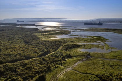 France, Seine Maritime, Natural Reserve of the Seine estuary, cargo ships on the Seine (aerial view)