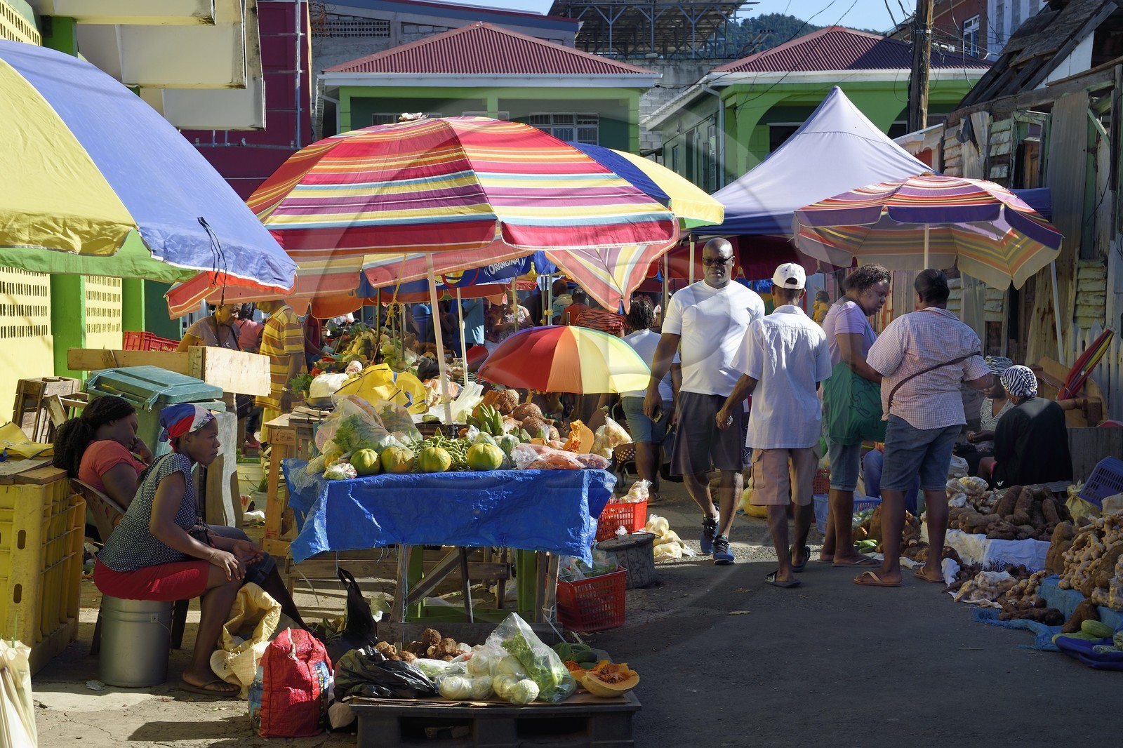 Caraïbes, Ile de la Dominique, la capitale Roseau, vente à l'étal de fruits et légumes aux abords du marché centrale