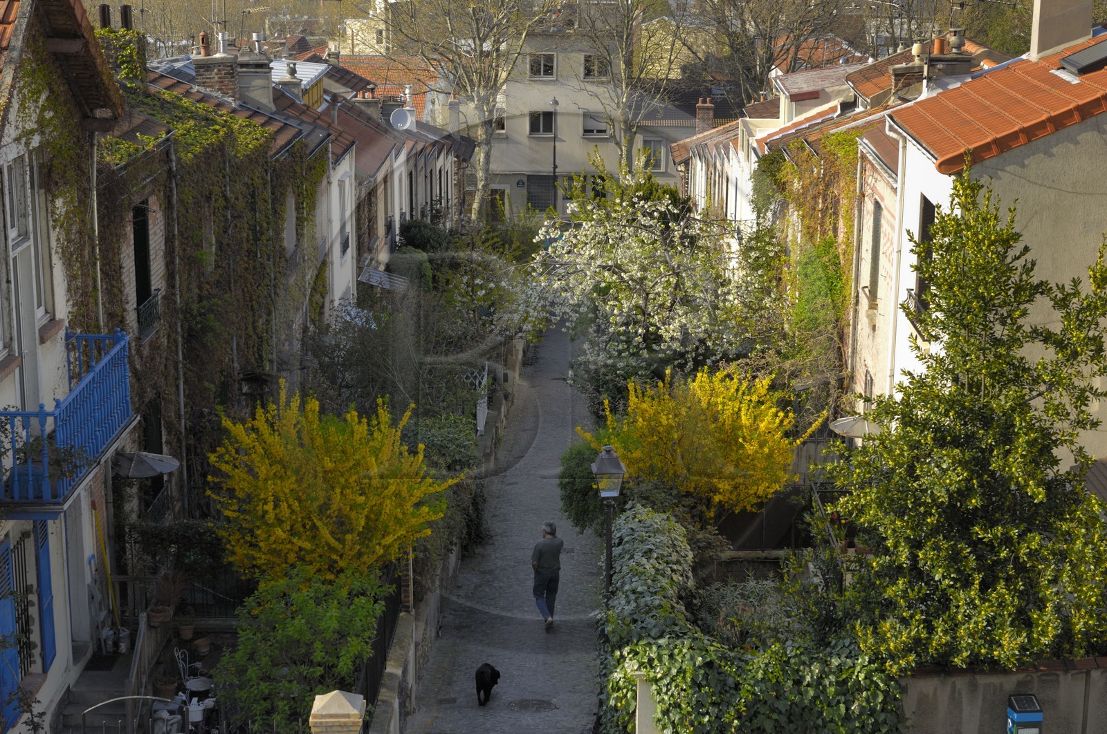 France, Paris (75), La campagne à Paris du quartier Mouzaïa, maisons avec jardins au cœur de la ville