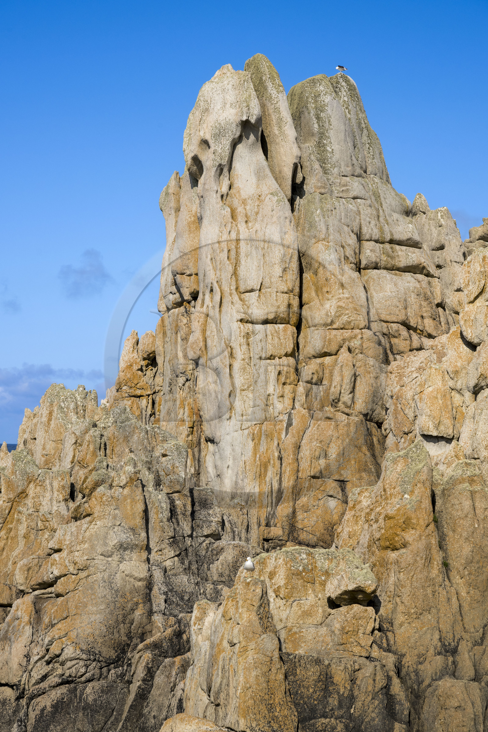 France, Finistère (29), Mer d'Iroise, Ile d'Ouessant, rochers façonnés par les tempêtes au pied du phare du Créac’h