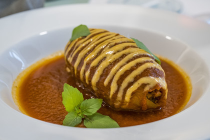 France, Herault, Montpellier, Richter district, the banks of the Lez river, L'Arbre Blanc, building designed by the Japanese rachitect Sou Foujimoto, restaurant l'Arbre, stuffed squid