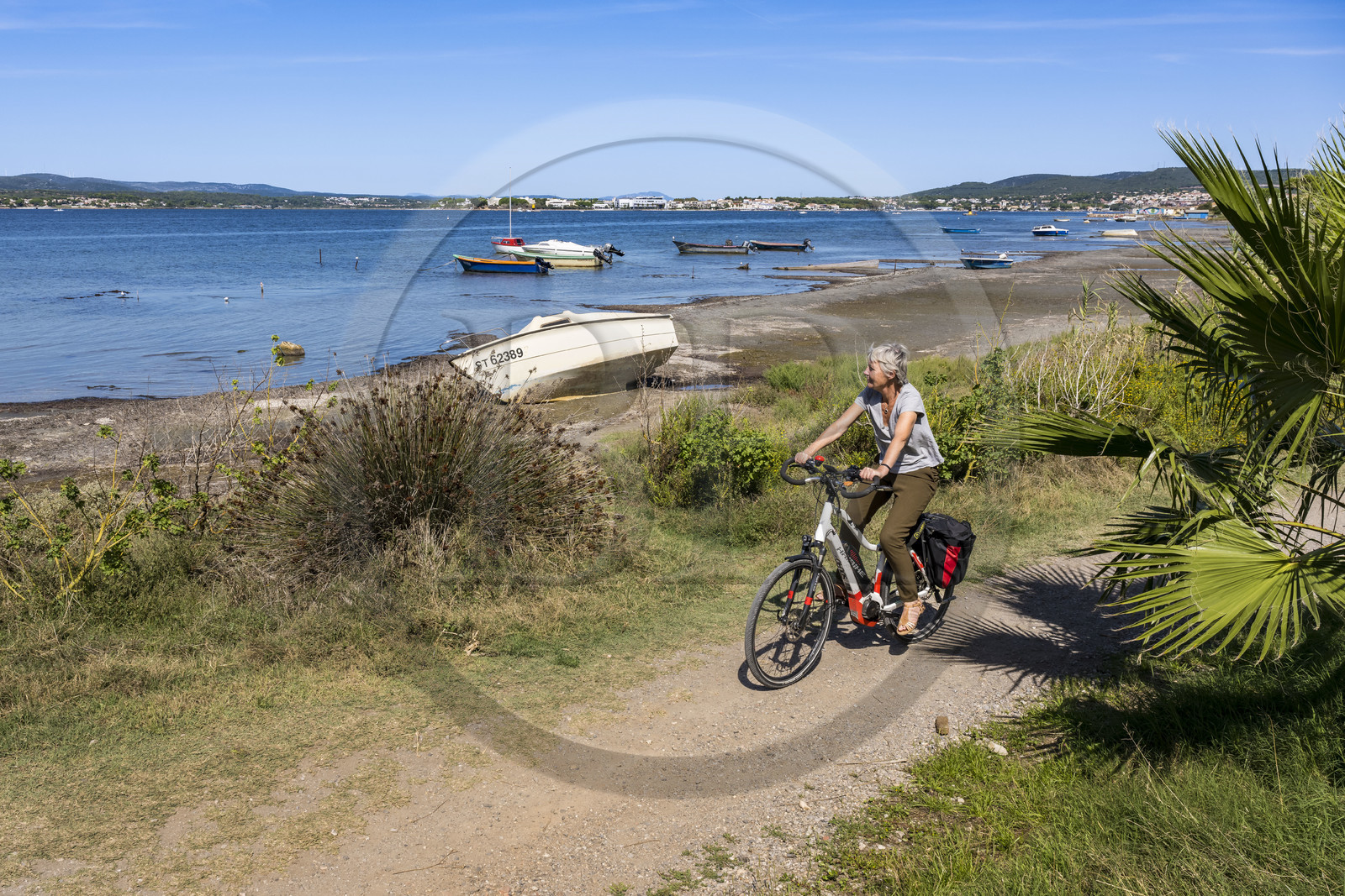 France, Hérault (34), Sète,  Pointe du Barrou, randonnée cycliste sur les rives de l'étang de Thau