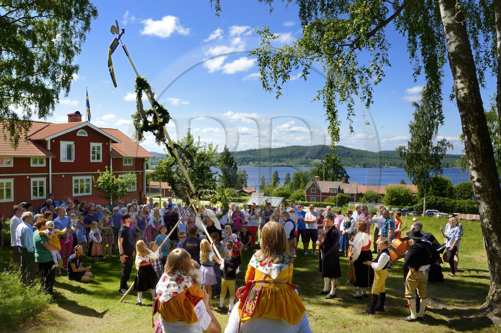 Suède, comté de Dalécarlie, région de Leksand, célébrations du solstice d'été dans le petit hameau de Sunnanäng sur la rive du lac Siljan, levée du mât de l'arbre de mai