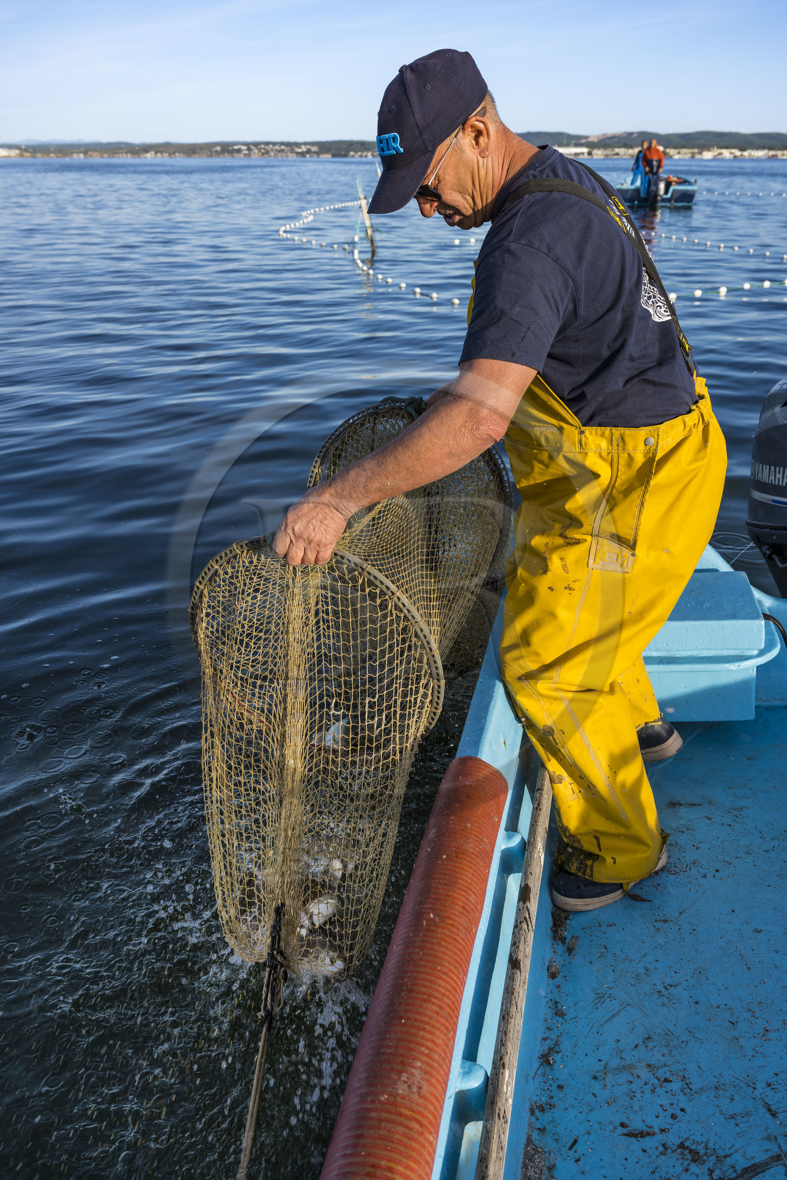 France, Hérault (34), Sète, quartier de la Pointe Courte, le pêcheur Robert Rumeau relève ses filets sur l'étang de Thau