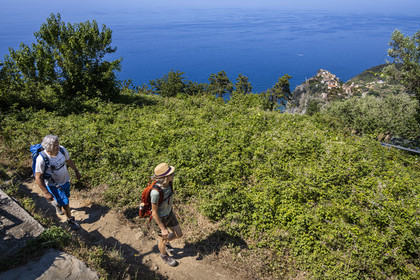 Italy, Liguria, Cinque Terre National Park listed as World Heritage by UNESCO, hikers climbing on the GR 586 path between Corniglia and Volastra above Manarola, the village of Corniglia in the background