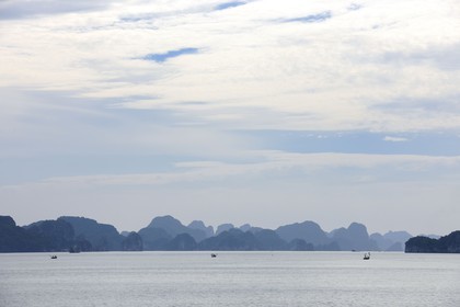 Vietnam, Quang Ninh Province, Halong Bay, listed as World Heritage by UNESCO