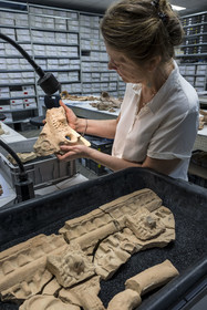 France, Bouches-du-Rhône (13), Arles, musée départemental Arles antique, salle d’étude du service archéologie, recherches des fouilles du site de l'ancienne verrerie de Trinquetaille sur la rive droite du Rhone, maison de la harpiste (entre 70 et 50 av. J.-C.), figure de chien protecteur en tuile et gargouilles de la toiture de l'atrium, l'archéologue Marie-Pierre Rothé