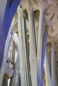 Spain, Catalonia, Barcelona, Eixample district, Sagrada Familia basilica by Catalan modernist architect Antoni Gaudi, listed as a UNESCO World Heritage Site, above the node, the columns of the central vessel (nave) are subdivided into branches like a tree