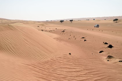 Sultanat d'Oman, gouvernorat de Ash Sharqiyah, désert des Wahiba Sands ou Sharqiya Sands, 4x4 sur la piste qui slalome entre les dunes de sable