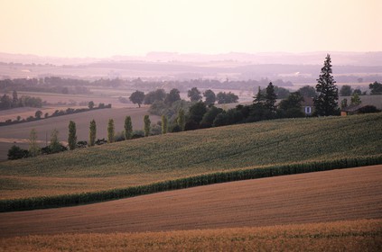 France, Gers, typical landscape of the Gers next to Fleurance