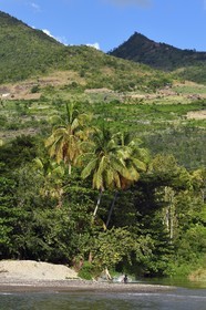 Caraïbes, Ile de la Dominique, Coulibistrie, Batalie Beach et estuaire de la rivière Coulibistrie