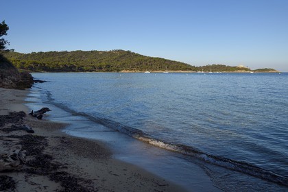 France, Var (83), Iles d'Hyères, parc national de Port Cros, Ile de Porquerolles, Baie de  l'Alycastre, plage Notre-Dame et le Fort de l'Alycastre en arrière plan