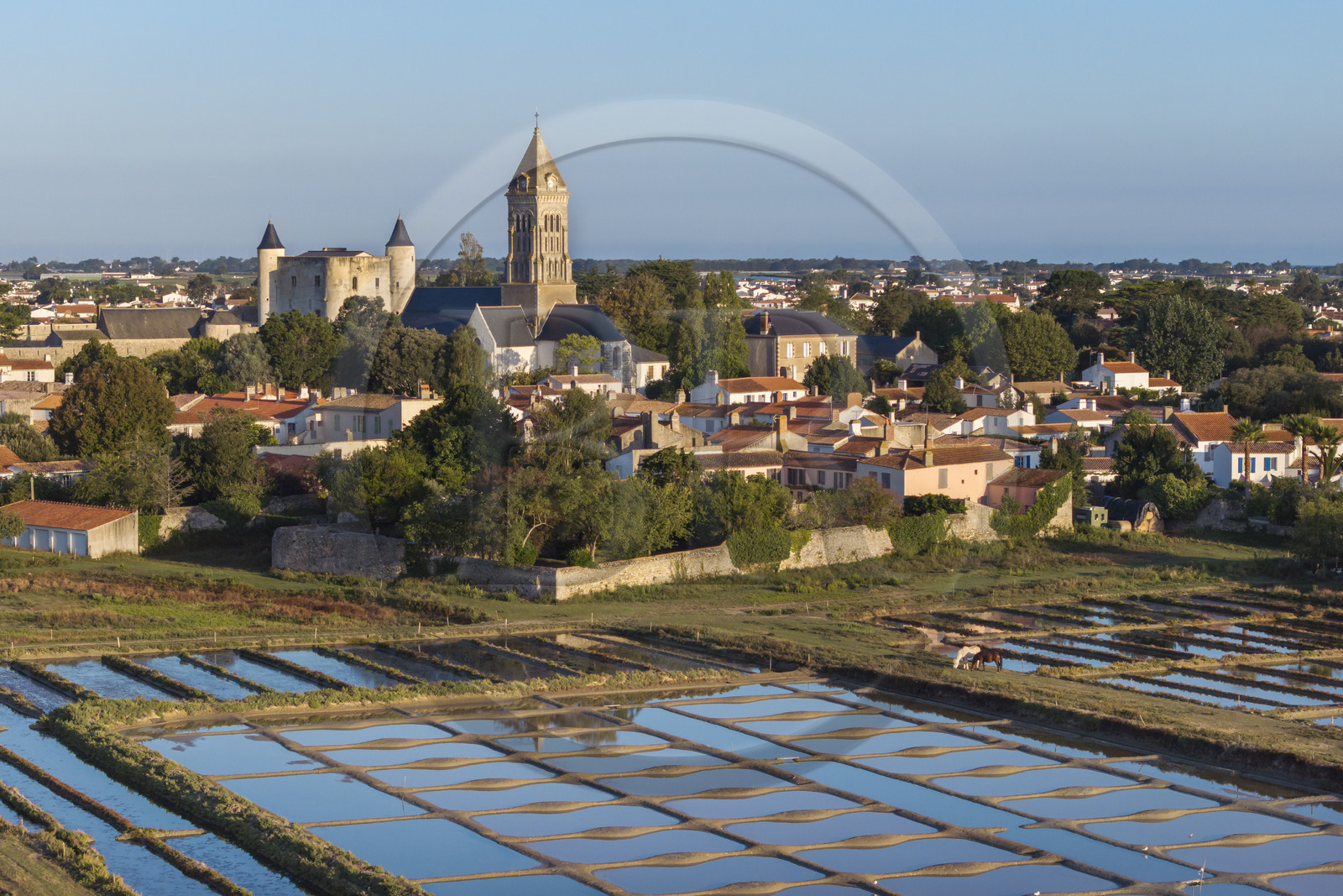 France, Vendée (85), île de Noirmoutier, Noirmoutier-en-l'Ile, les marais du Müllembourg, le château médiéval et l'église Saint-Philbert en arrière plan (vue aérienne)