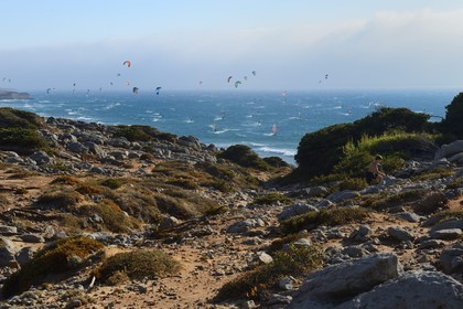 Portugal, région de Lisbonne, Cascais, végétation autour de la plage de Guincho sur la côte d'Estoril