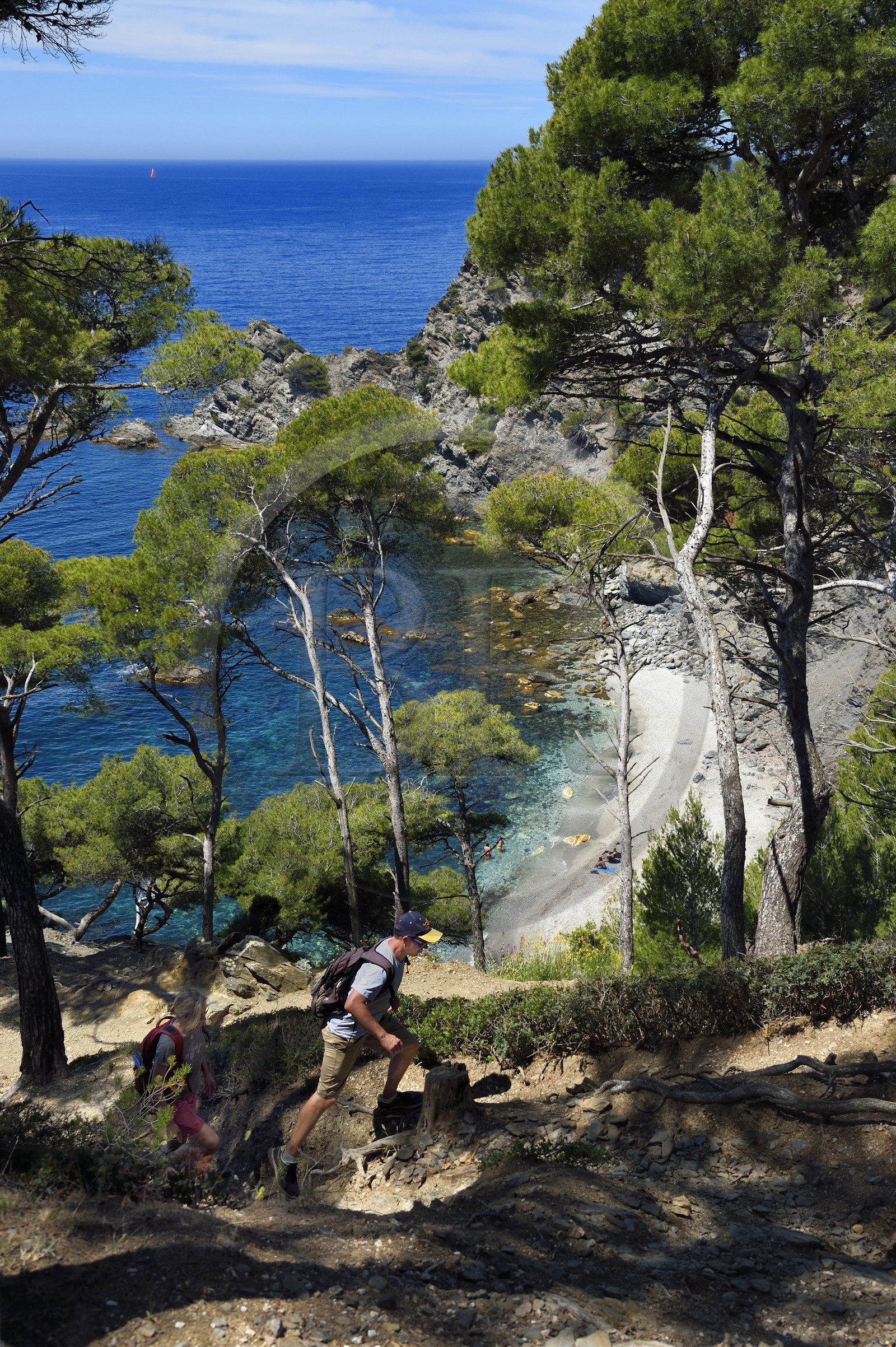 France, Var (83), Six-Fours-les-Plages, randonnée dans le massif du Cap Sicié, plage du Mont Salva vers Le Brusc France, Var (83), Six-Fours-les-Plages, randonnée dans le massif du Cap Sicié, plage du Mont Salva vers Le Brusc